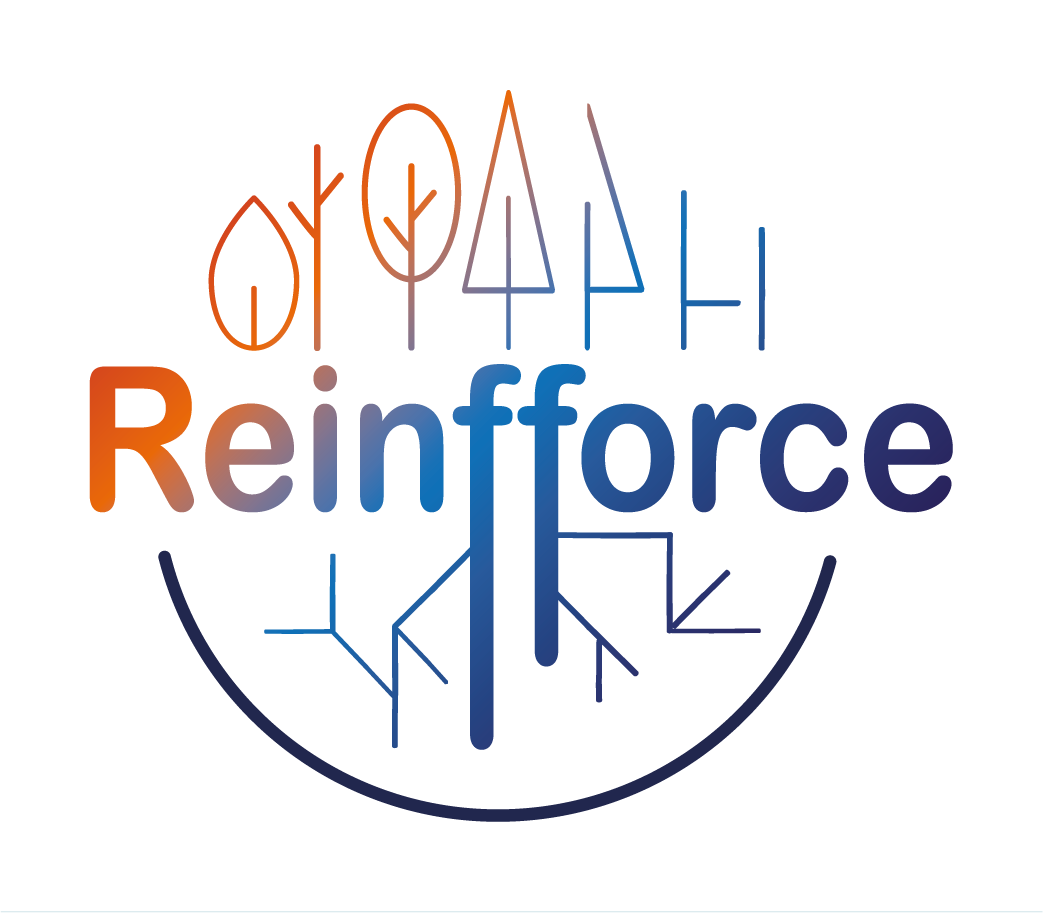 Proyecto Reinfforce